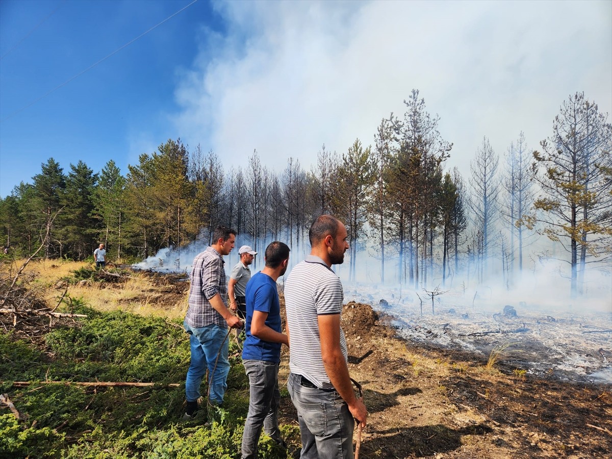  Çankırı'nın Atkaracalar ilçesindeki ormanlık alanda çıkan yangın kontrol altına alındı.