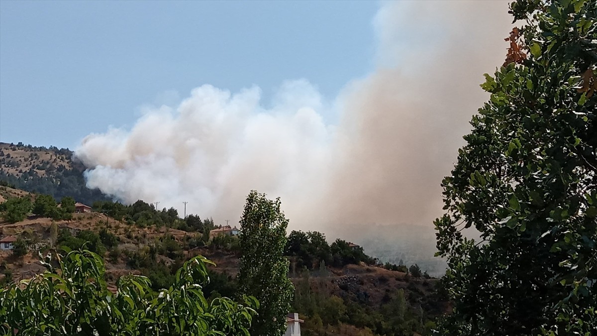 Çorum'un Çalyayla köyündeki ormanlık alanda yangın çıktı.