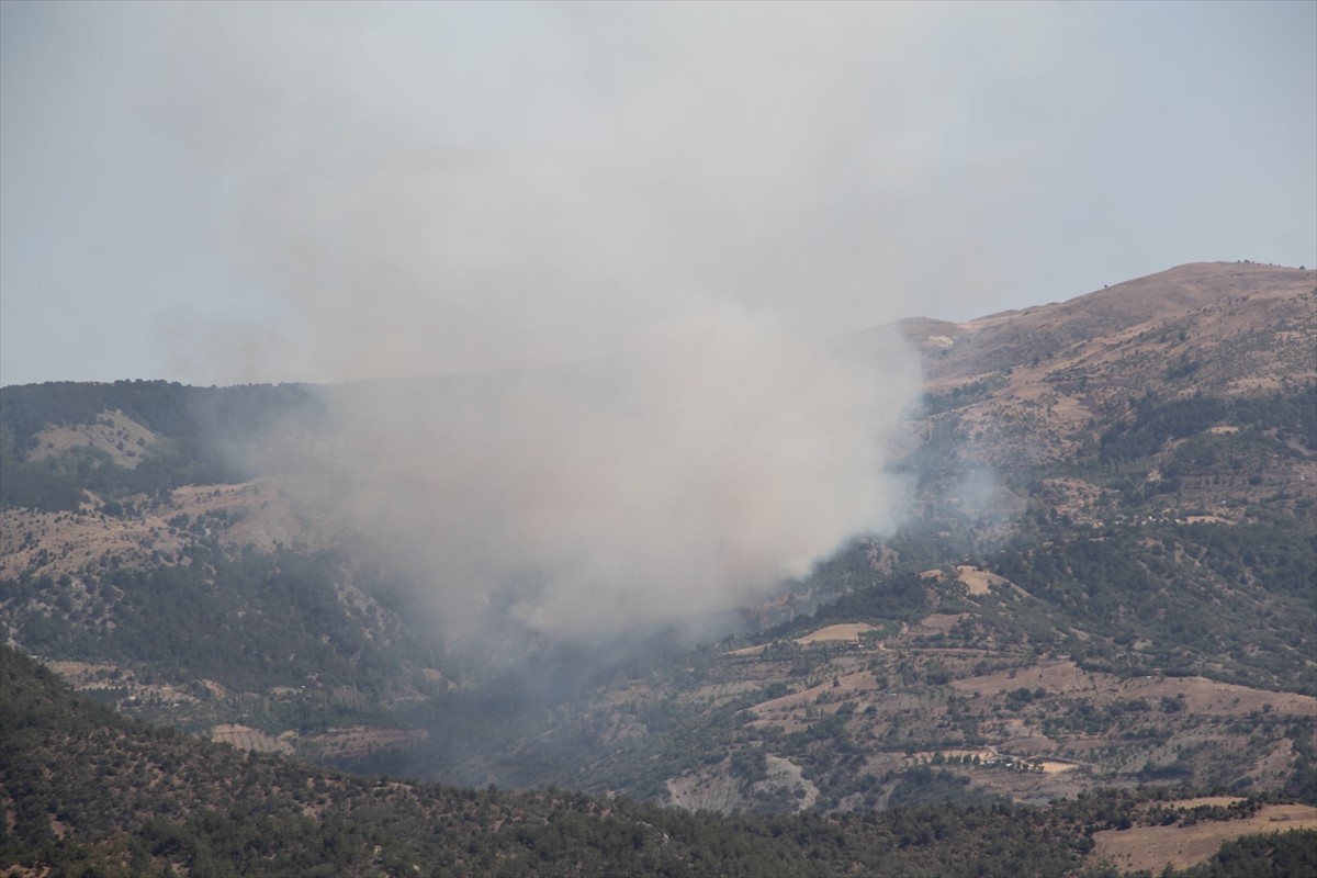 Çorum'un Çalyayla köyündeki ormanlık alanda yangın çıktı.