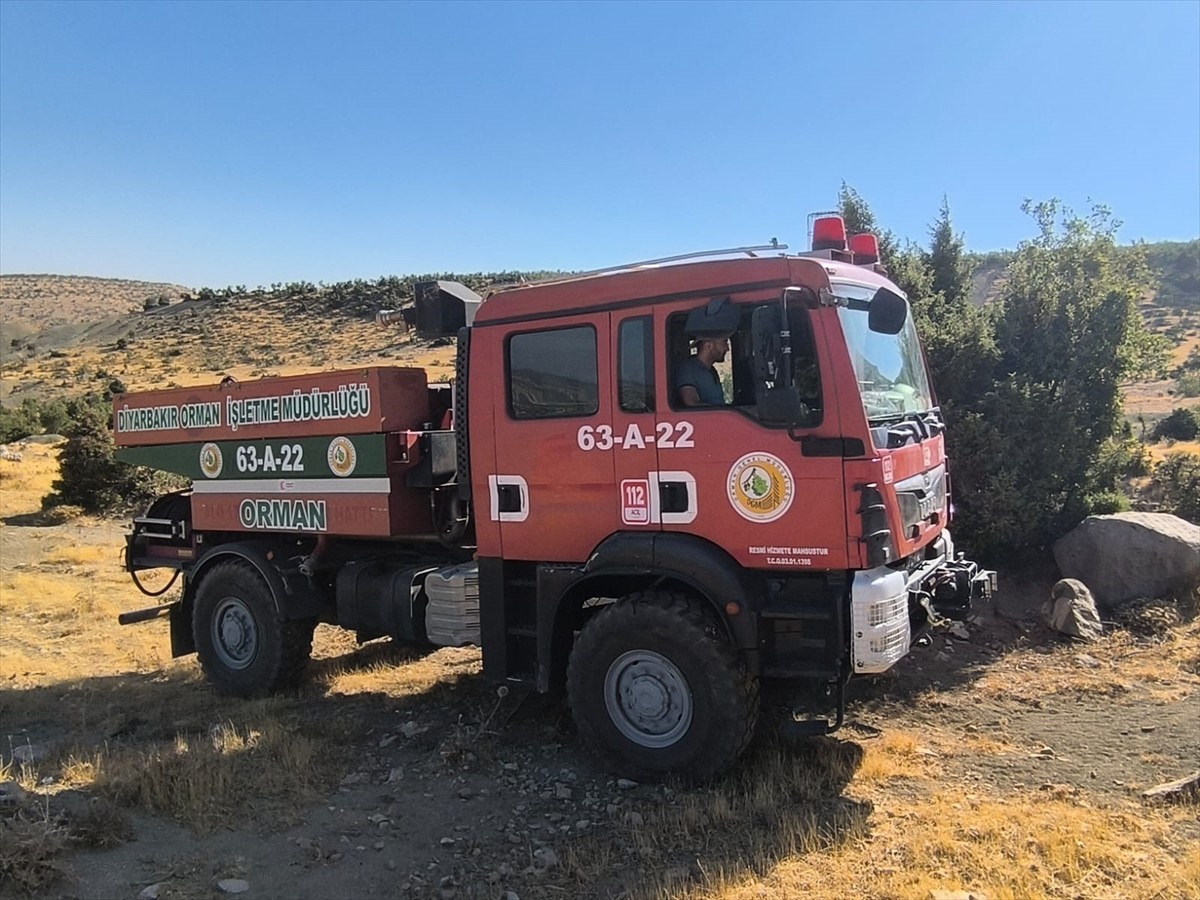 Diyarbakır'ın Lice ilçesi kırsalındaki ormanlık alanda çıkan yangın söndürüldü.