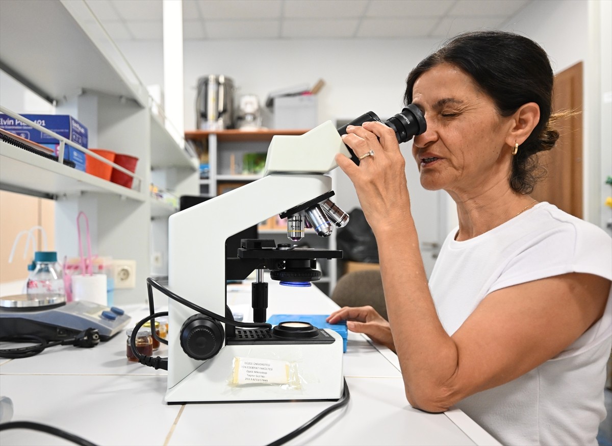 Düzce Üniversitesi Arıcılık Araştırma Geliştirme ve Uygulama Merkezi Müdürü Prof. Dr. Meral...