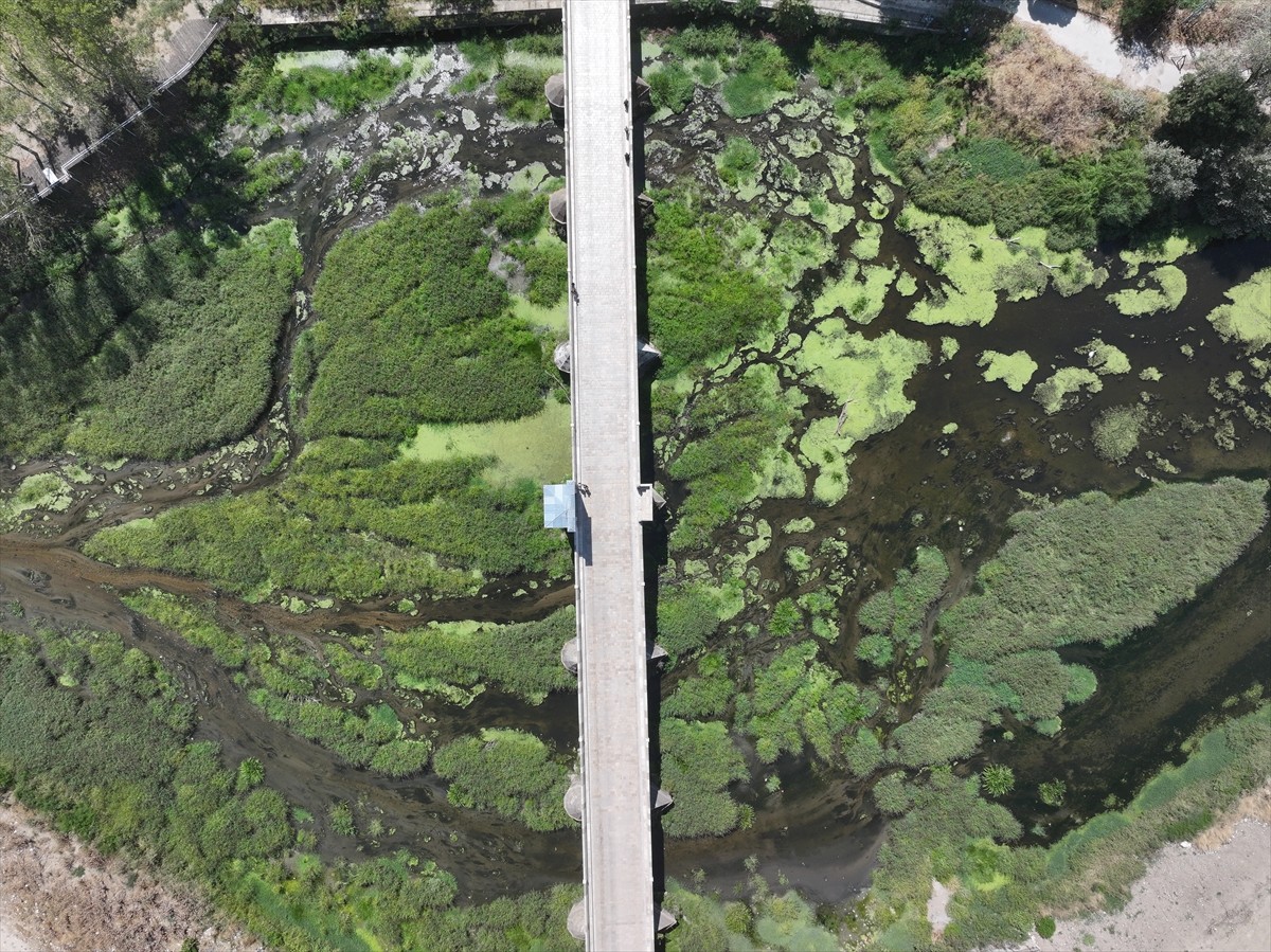 Edirne'nin önemli su kaynaklarından Tunca Nehri'nin bazı bölümlerinde kuraklık nedeniyle akışın...