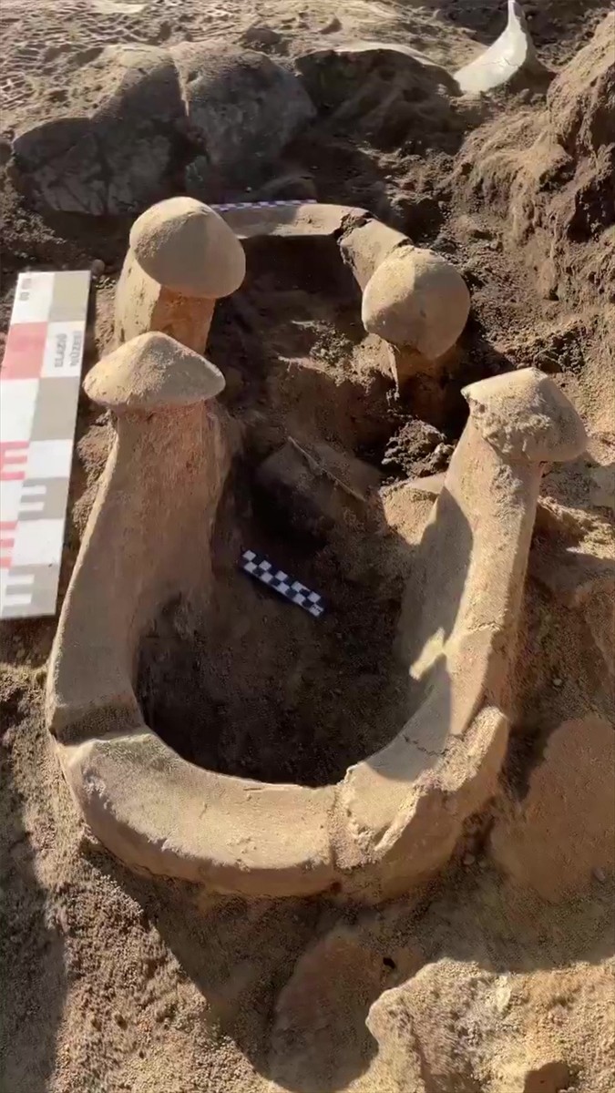 Elazığ'da Tadım Kalesi ve Höyüğü'nde yürütülen arkeolojik kazılarda yaklaşık 6 bin yıllık 2 kutsal...