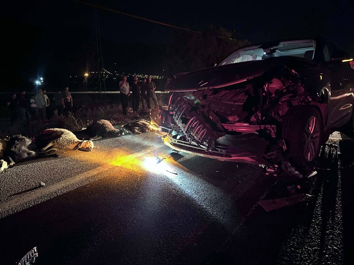 Erzincan'da SUV tipi aracın çarptığı sürüdeki 23 küçükbaş hayvan telef oldu.