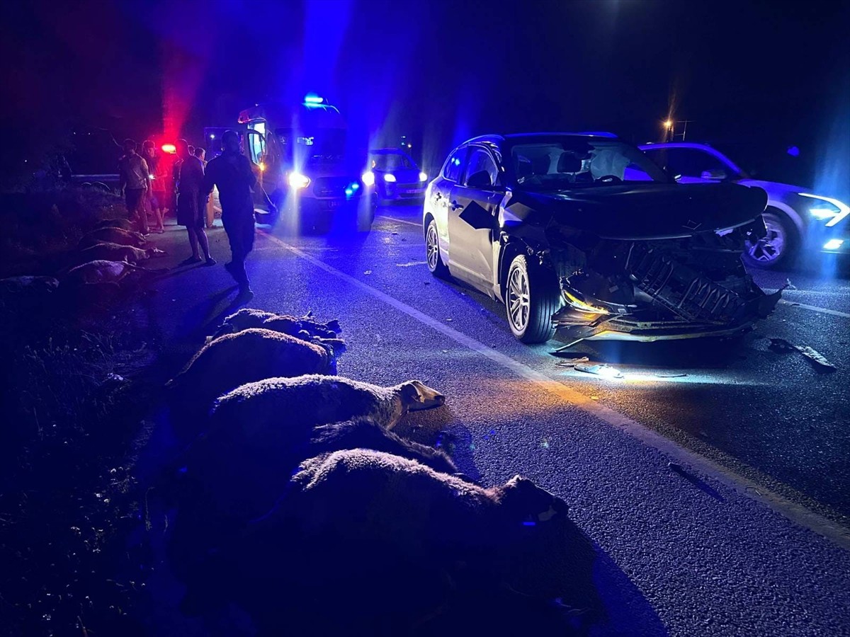 Erzincan'da SUV tipi aracın çarptığı sürüdeki 23 küçükbaş hayvan telef oldu.