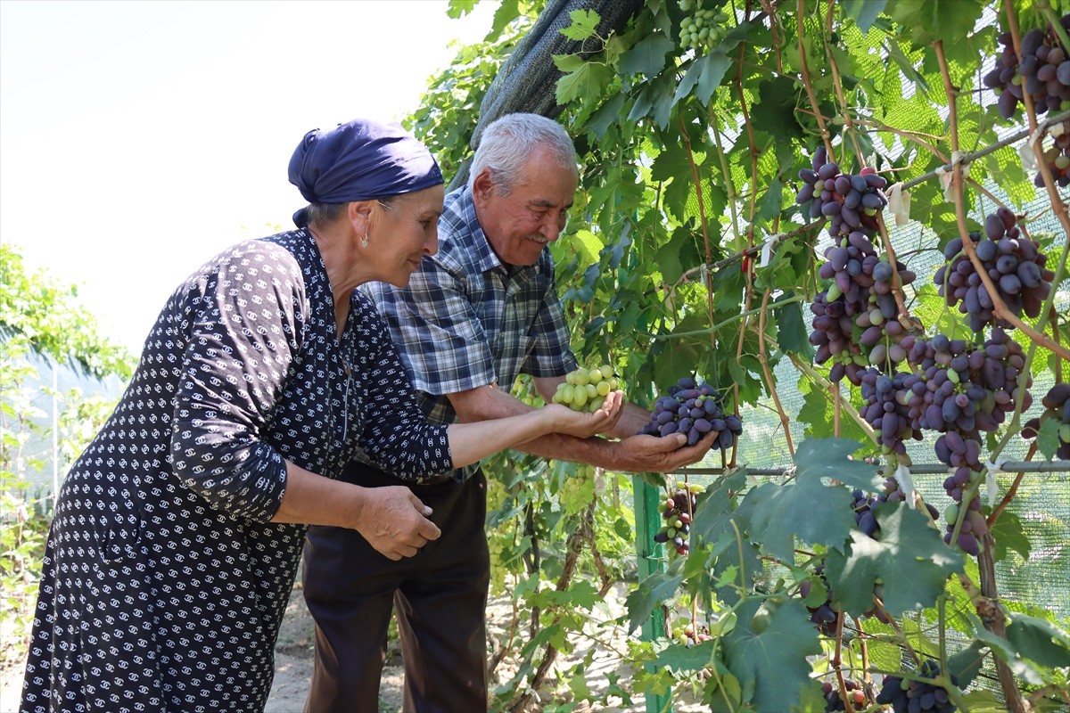 Erzincan'ın Üzümlü ilçesinde yaşayan Ahıska Türkü Faik ile Gülşen Binali çifti, döşek arasında...