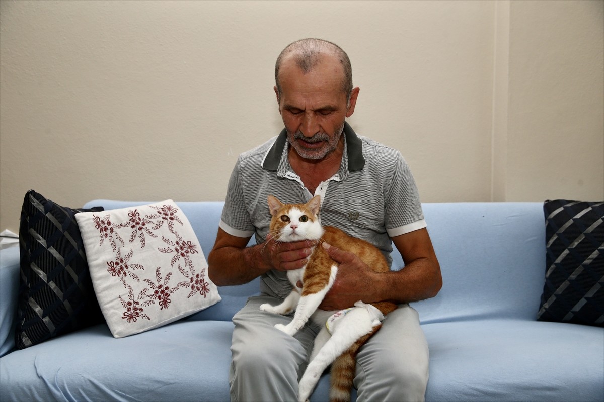 Giresun'da bazıları engelli 25 kedinin yaşama tutunmasını sağlayan Temel Sezer, sahipsiz kediler...