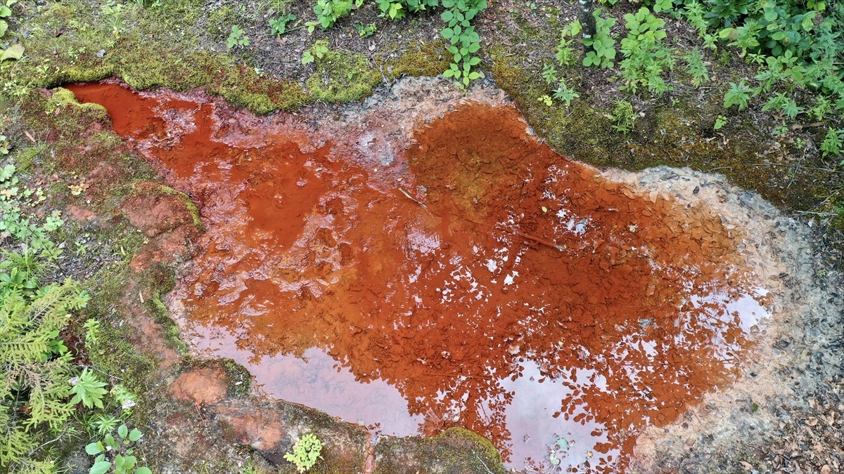 Giresun'daki Kuzalan Tabiat Parkı kızıl renkteki suyu ve travertenleriyle ziyaretçilerin ilgisini...