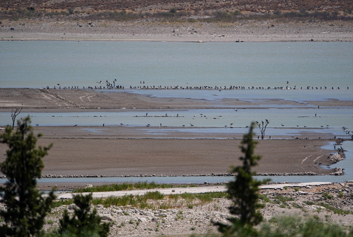 İzmir'in Çeşme ilçesindeki Alaçatı Kutlu Aktaş Barajı'nda kuraklık nedeniyle su seviyesinin...