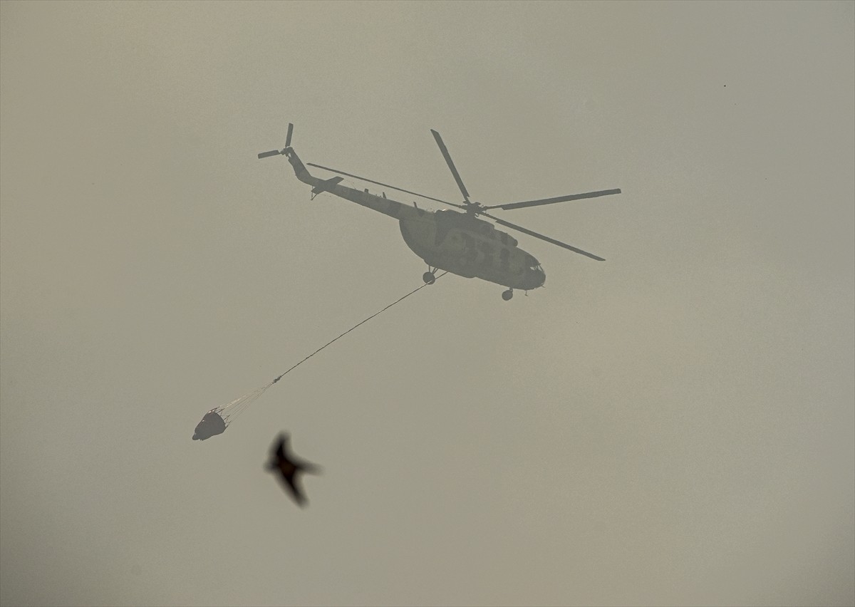 İzmir'in Menderes ilçesinde tarım arazisinde başlayıp ormanlık alana sıçrayan yangına havadan ve...