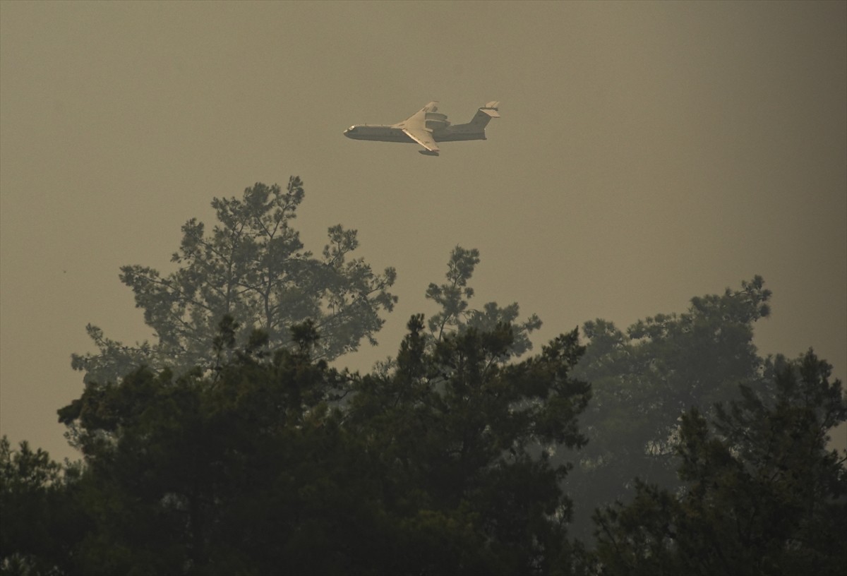 İzmir'in Menderes ilçesinde tarım arazisinde başlayıp ormanlık alana sıçrayan yangına havadan ve...