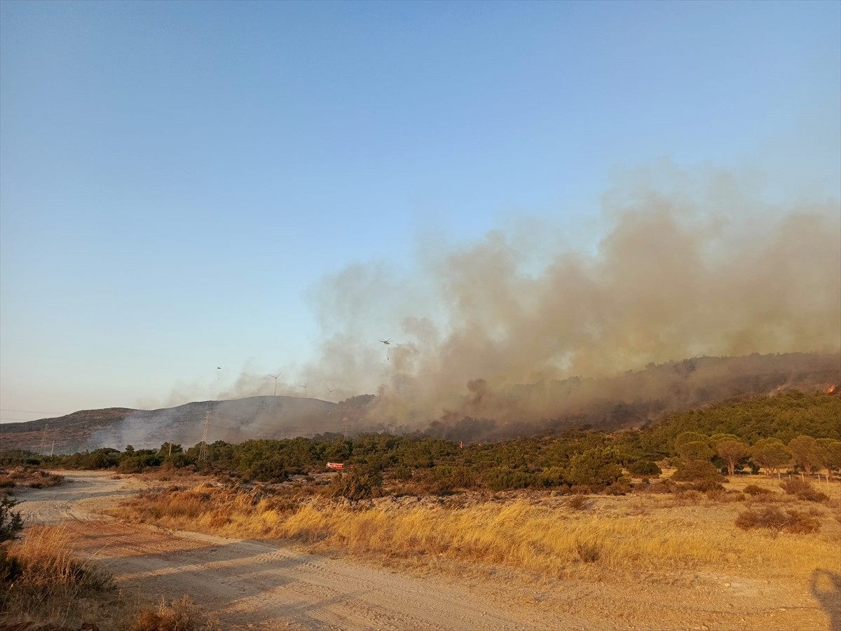 İzmir'in Urla ilçesinde tarım alanında başlayıp ormanlık alana sıçrayan yangına havadan ve karadan...