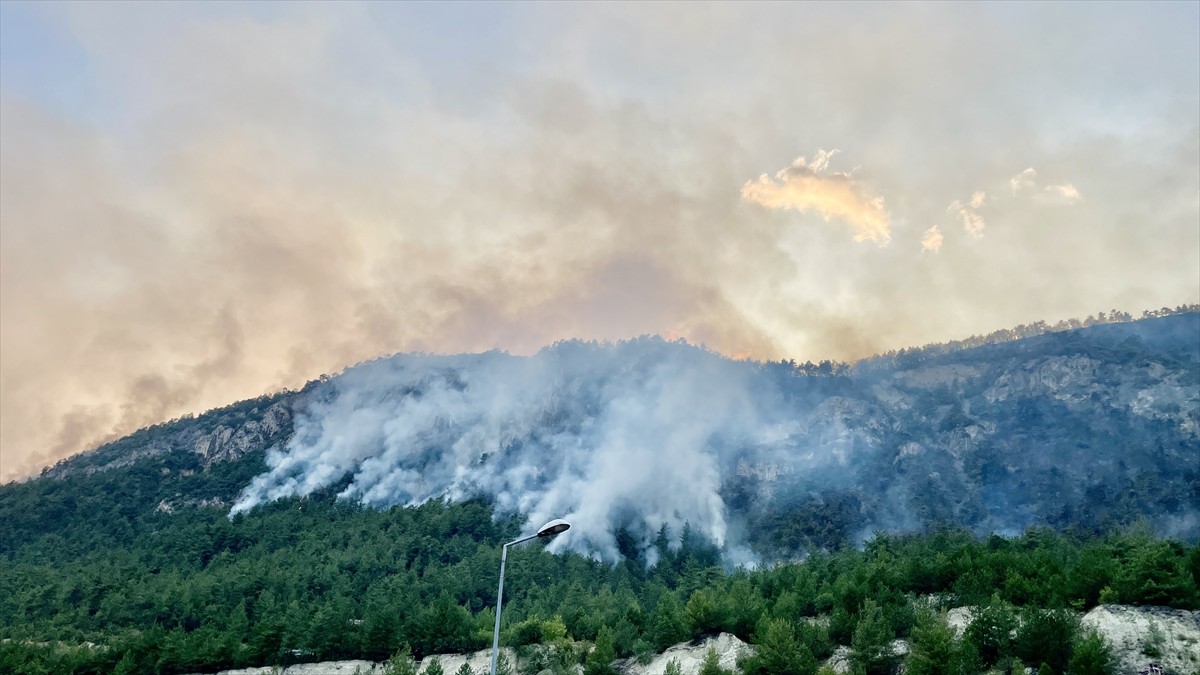 Karabük'te ormanlık alanda çıkan ve önceki gün kontrol altına alındıktan sonra yeniden başlayan...