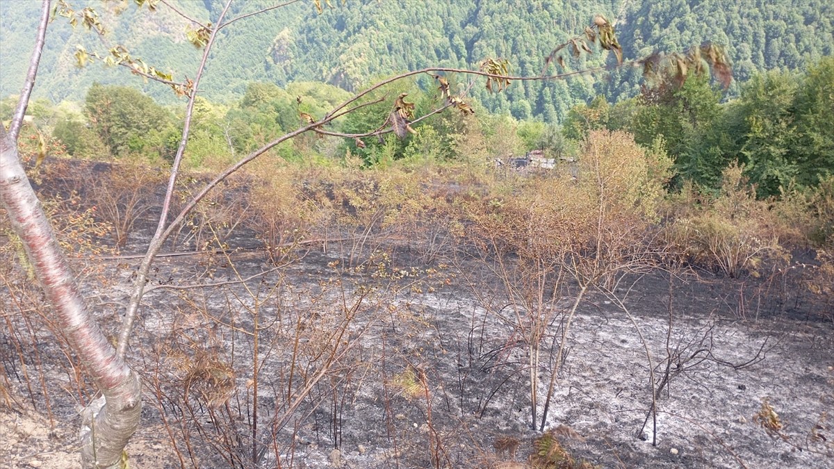 Kastamonu'nun Çatalzeytin ilçesinde bir evde çıkarak ormanlık alana sıçrayan yangın...