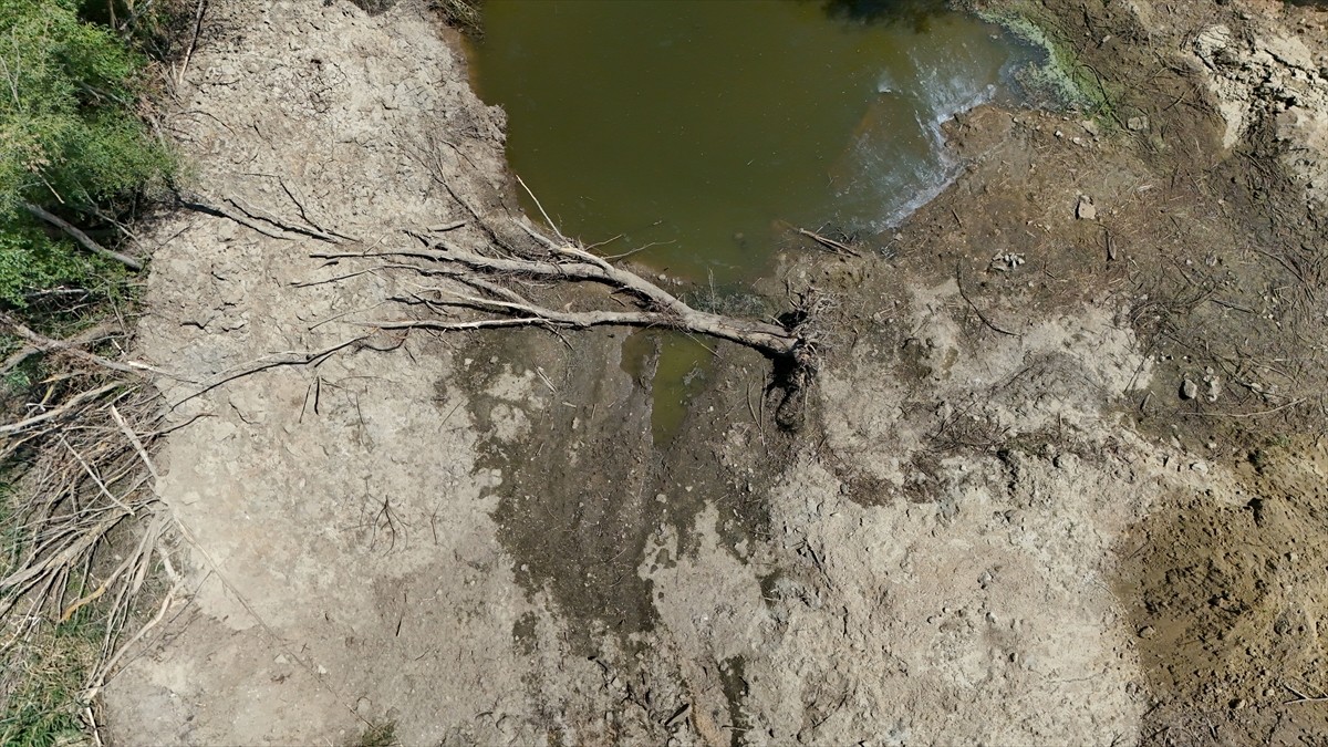 Kırklareli'nde, hava sıcaklıklarının mevsim normallerinin üzerinde seyretmesi nedeniyle Teke...