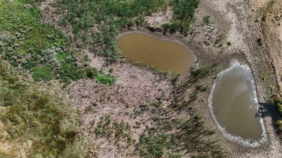 Kırklareli'ndeki Sazlık Göleti, kuraklık nedeniyle kuruma noktasına geldi. 