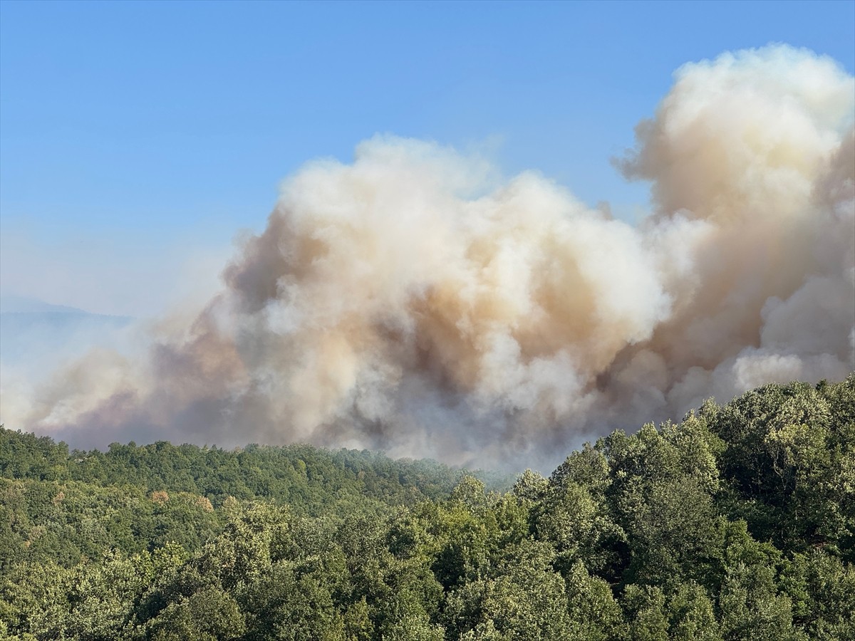 Kocaeli'nin Karamürsel ilçesinde ortaya çıkan orman yangınına havadan ve karadan müdahale...