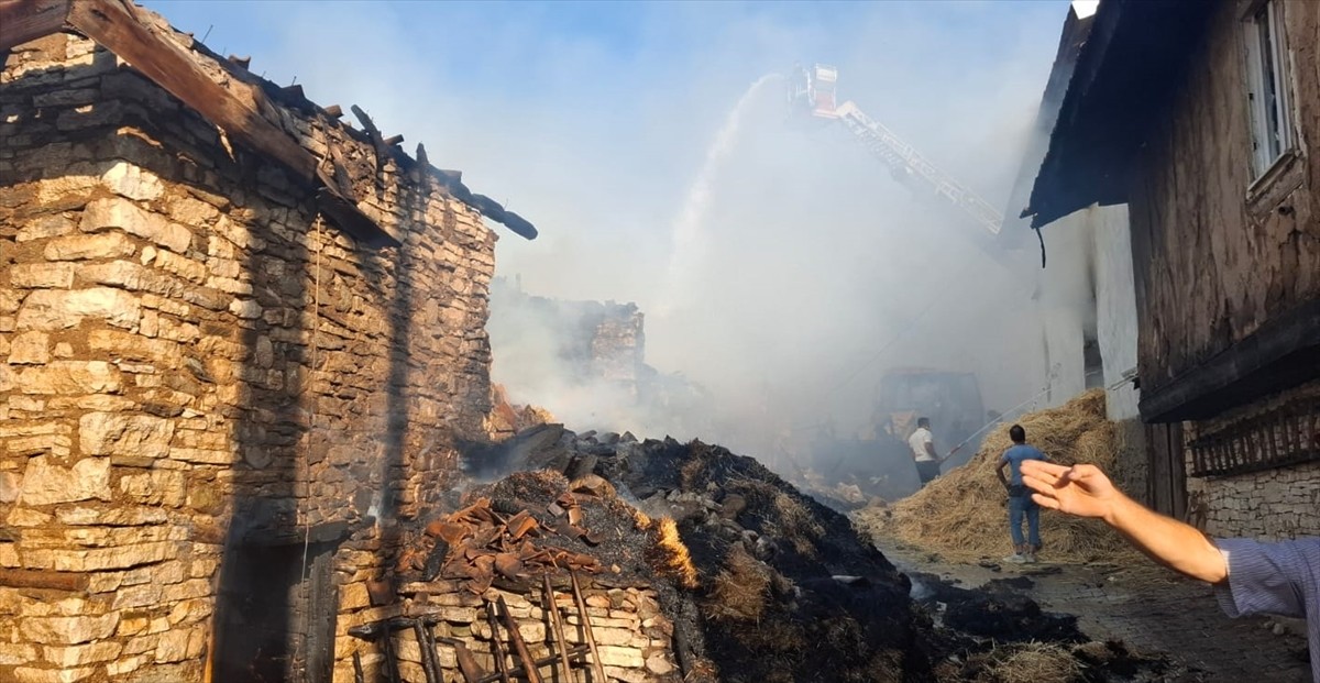 Kütahya'nın Emet ilçesinde, bir köyde çıkan yangında 2 ev 4 samanlık kullanılamaz hale...