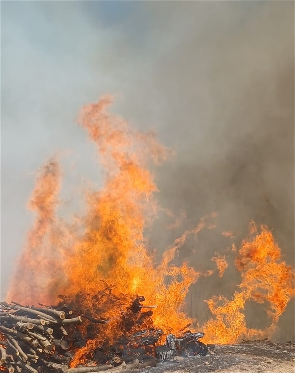Malatya'nın Doğanyol ilçesinde çıkan orman yangınını söndürmek için çalışmalar...