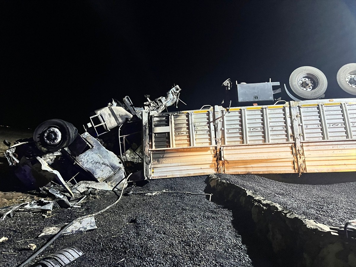 Mardin’in Nusaybin ilçesinde devrilmesi sonucu alev alan tırın sürücüsü hayatını kaybetti. Yangın...