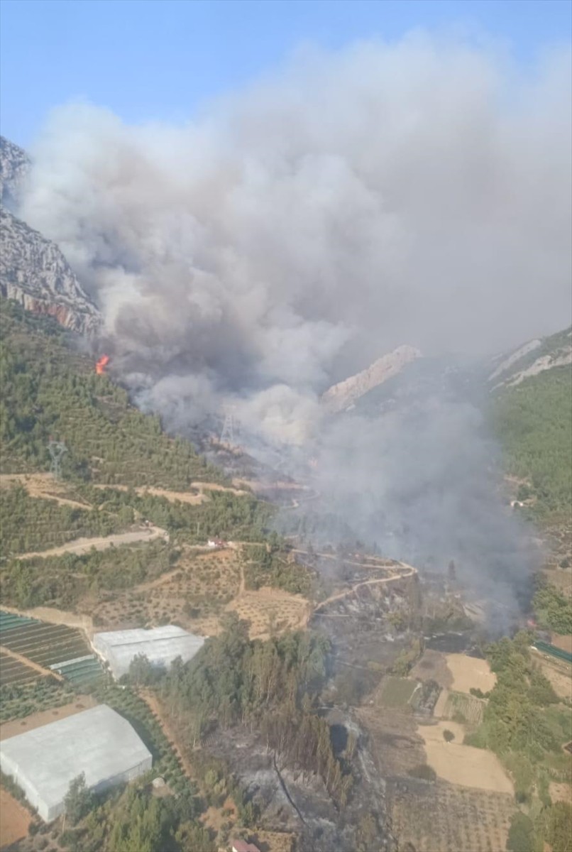 Mersin'in Anamur ilçesinde ormanlık alanda çıkan yangına havadan ve karadan müdahale ediliyor.