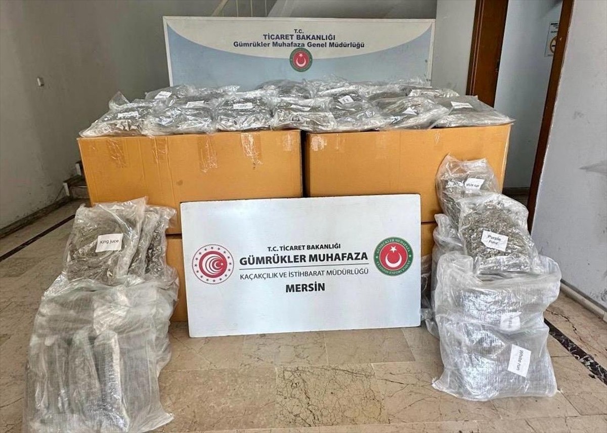 Mersin Limanı'nda tarama sistemine sevk edilen konteynerde 587 kilogram esrar ele geçirildi.