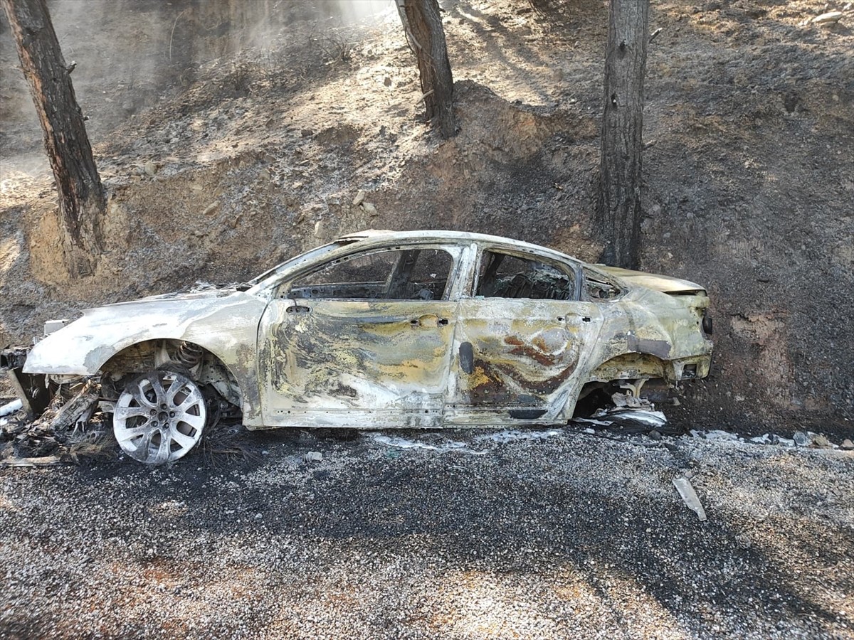Muğla'nın Dalaman ilçesinde otomobilde çıkan ve ormana sıçrayan yangın, ekiplerin müdahalesiyle...