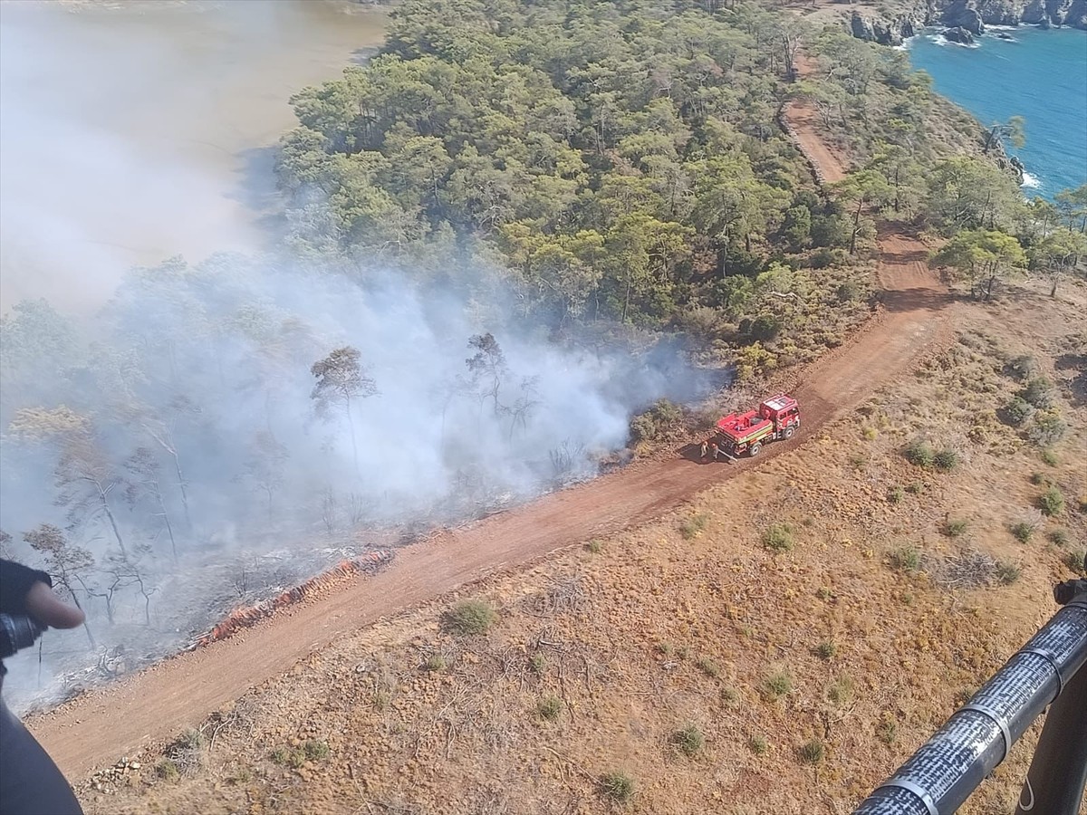 Muğla'nın Fethiye ilçesinde çıkan orman yangınına havadan ve karadan müdahale ediliyor.