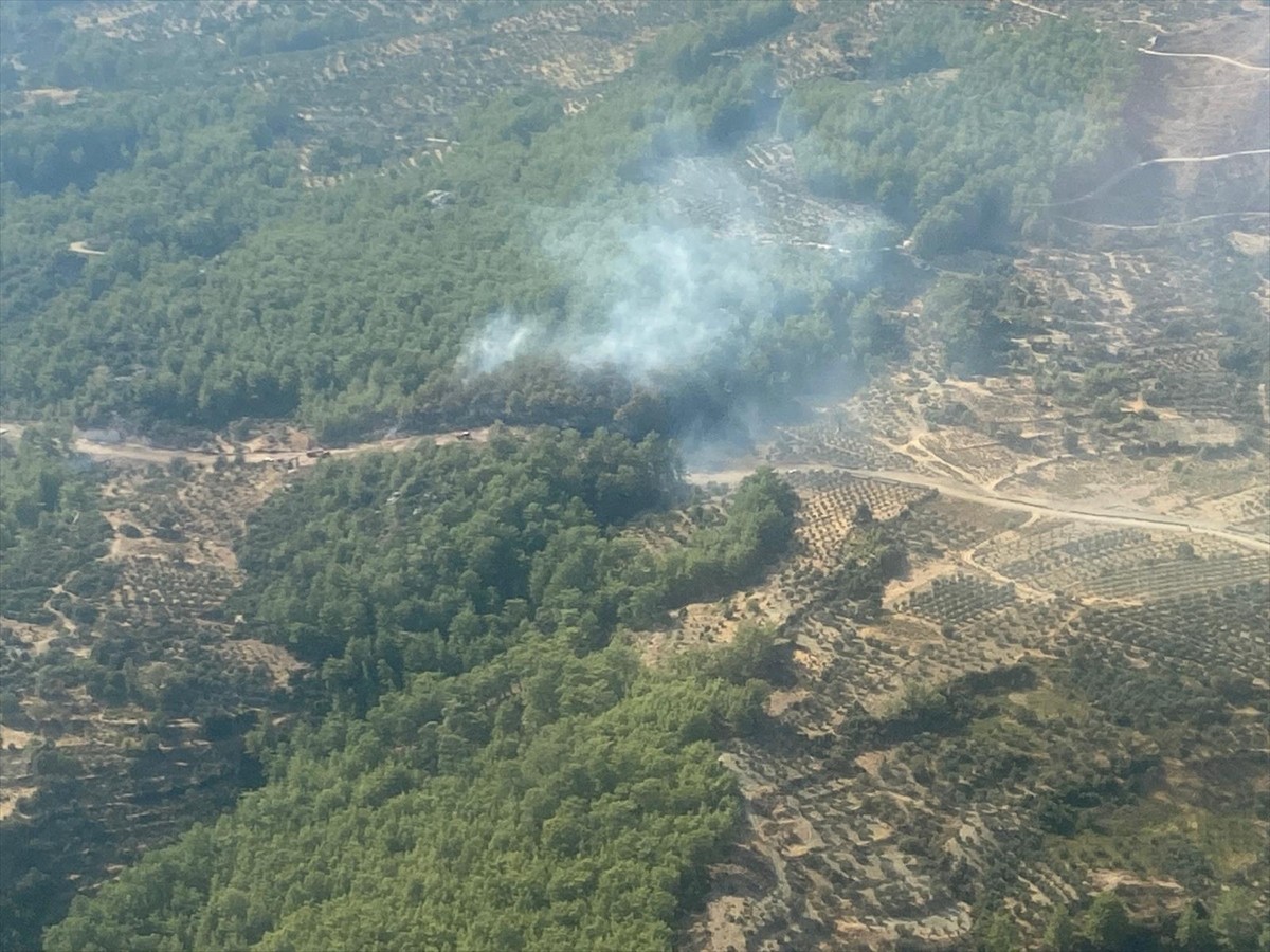 Muğla'nın Fethiye ilçesinde çıkan orman yangınına müdahale ediliyor.