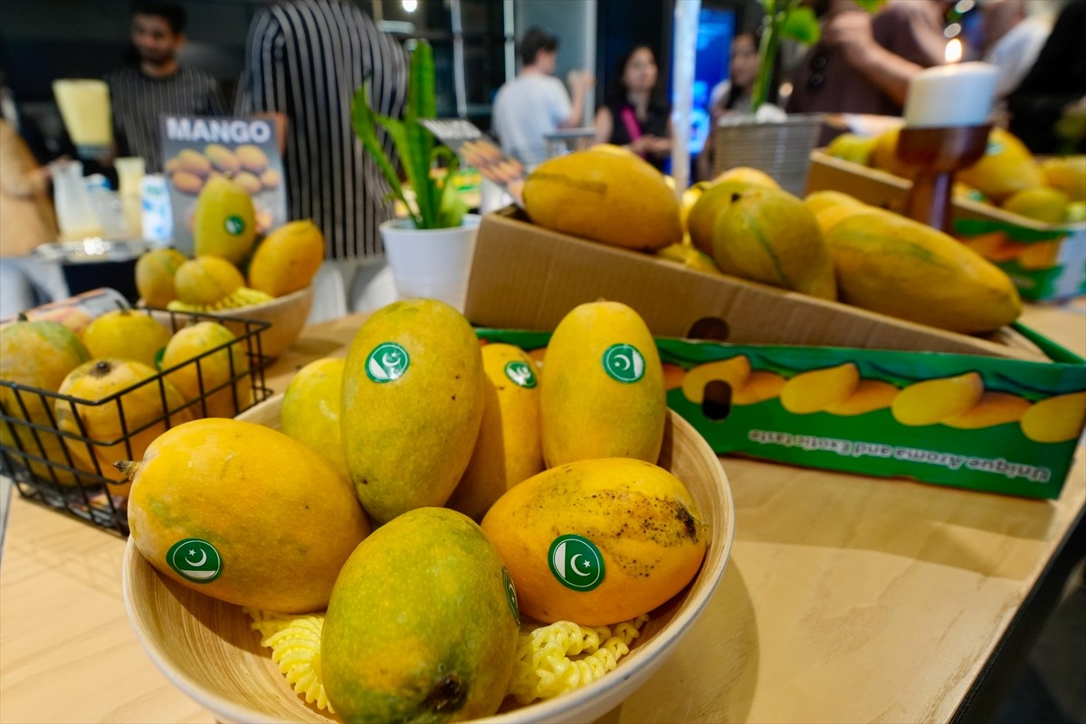 Pakistan'ın İstanbul Başkonsolosluğunca, ülkenin simge meyvesi mangoyu tanıtmak amacıyla...