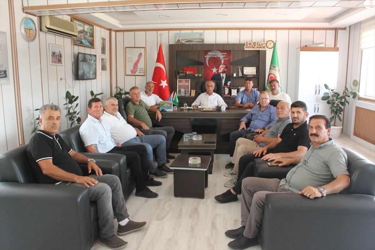 Samsun'un Bafra ilçesinde, 2025 yılında 157 bin dekar alana çeltik ekimi gerçekleştirildi. Bafra...