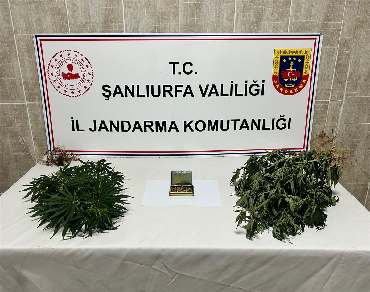 Şanlıurfa'da düzenlenen uyuşturucu ve silah kaçakçılığı operasyonunda 6 şüpheli gözaltına alındı....