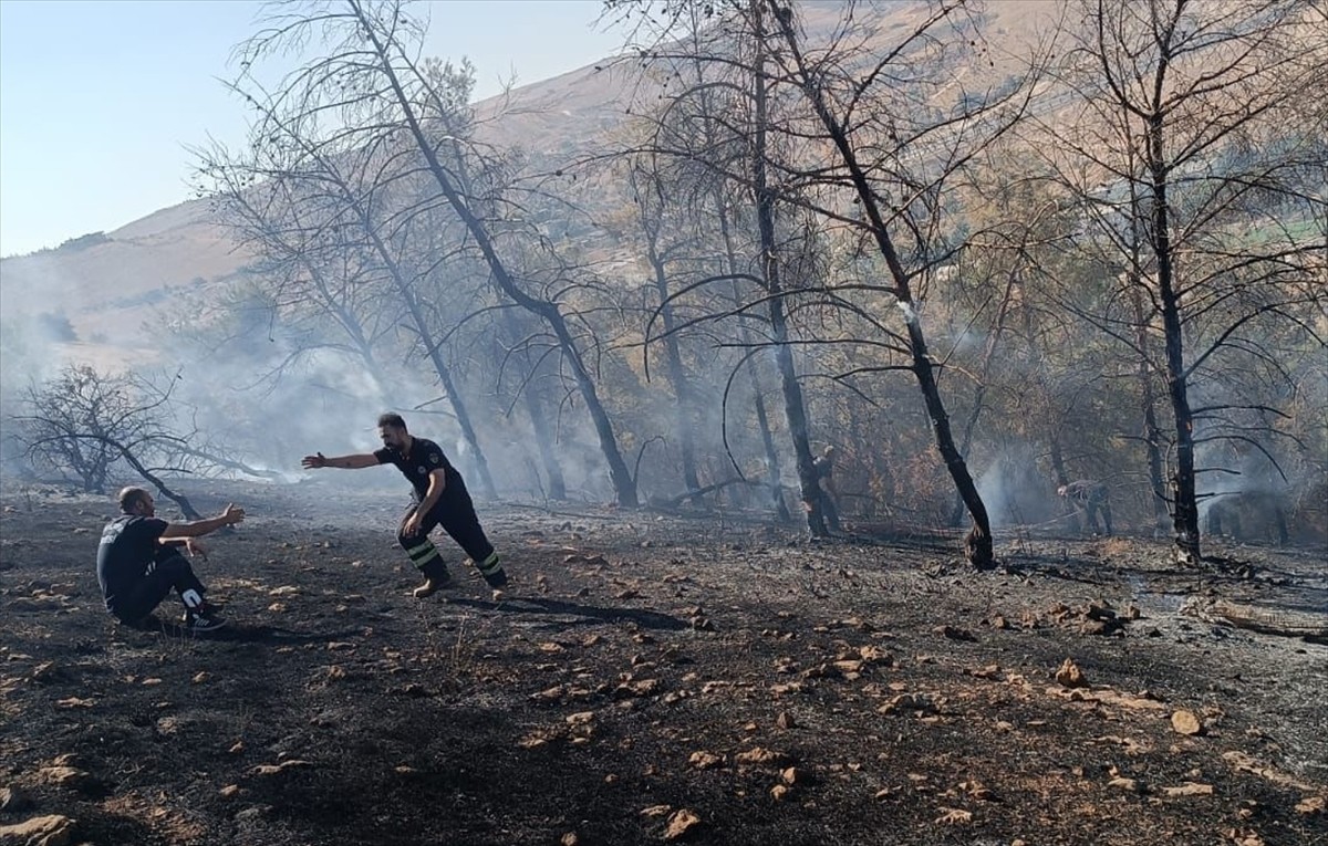 Şanlıurfa'nın Eyyübiye ilçesinde çıkan orman yangını ekiplerin müdahalesiyle...