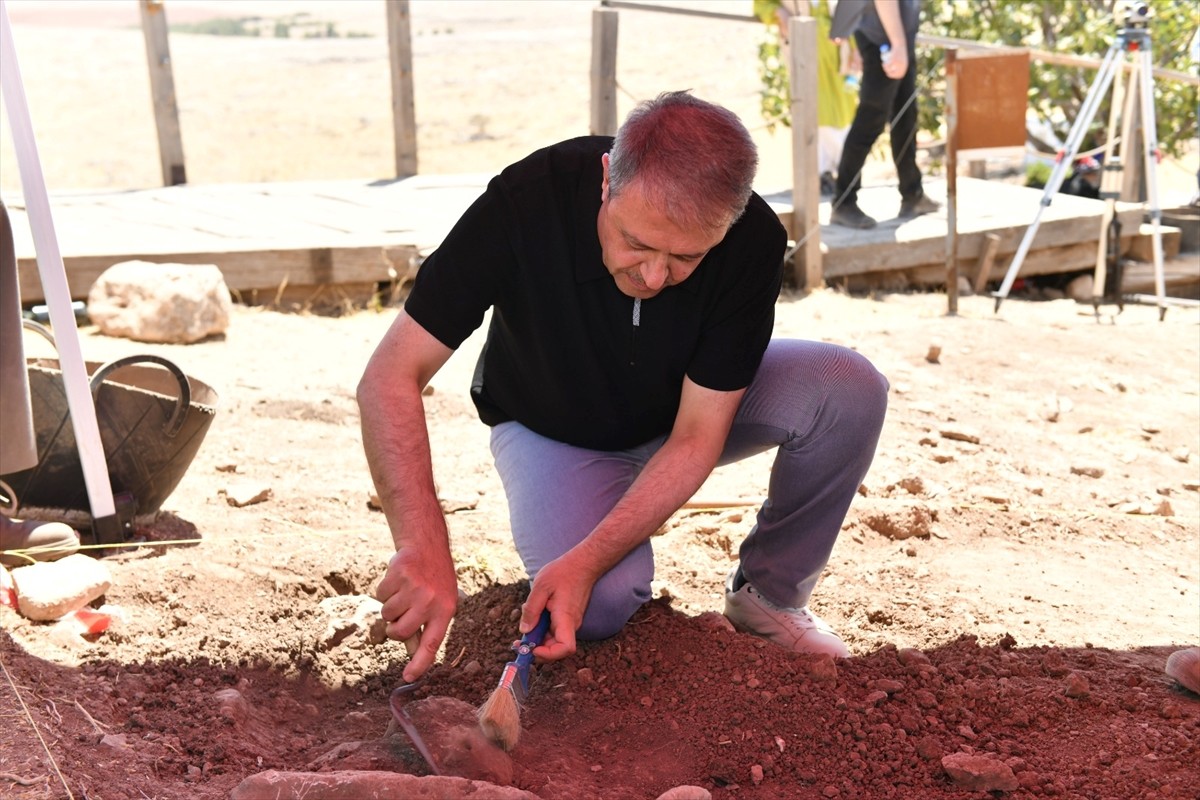 Şanlıurfa Valisi Hasan Şıldak, Göbeklitepe'nin yeni yüzüyle ziyaretçilerin hizmetine sunulacağını...