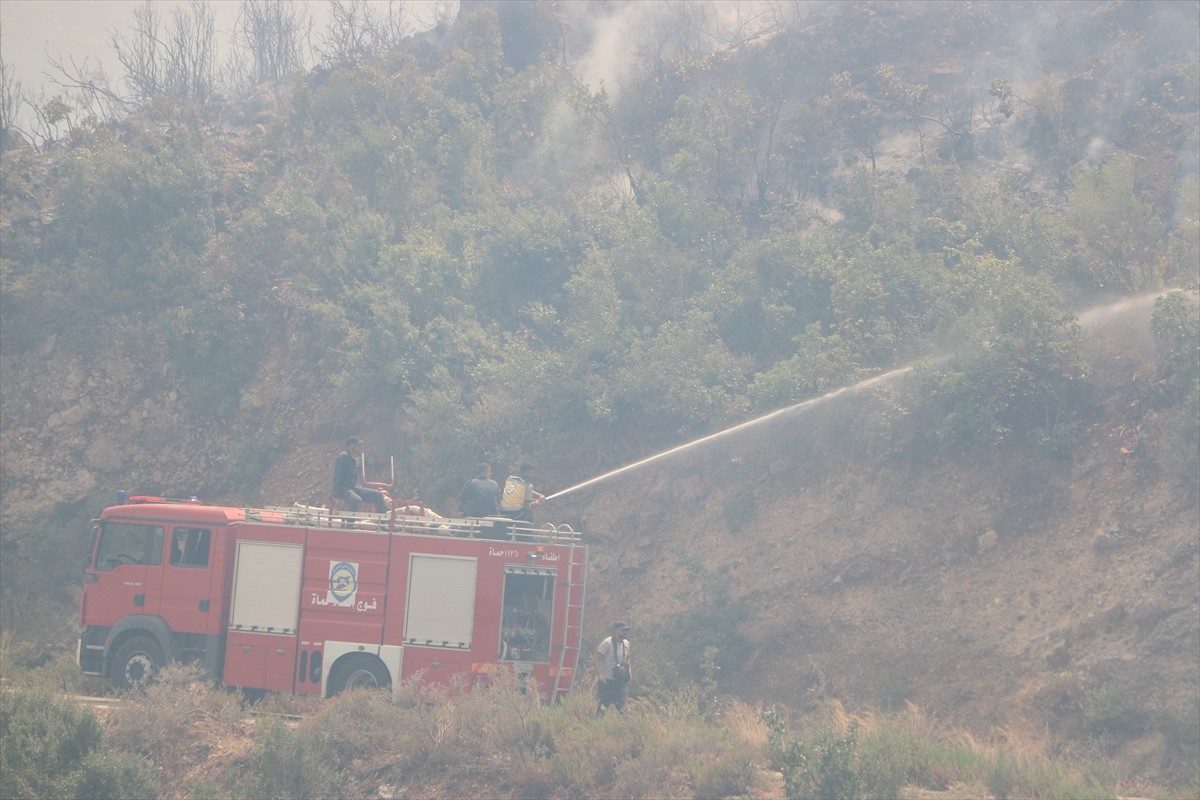 Suriye’nin Lazkiye ve Hama illerinde etkili olan aşırı sıcaklar nedeniyle orman yangınları çıktı....