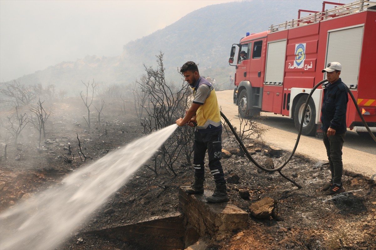 Suriye’nin Lazkiye ve Hama illerinde etkili olan aşırı sıcaklar nedeniyle orman yangınları çıktı....