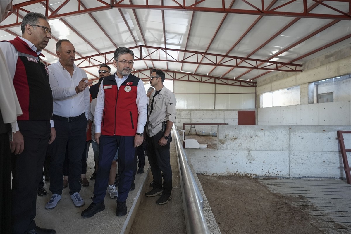 Tarım ve Orman Bakanı İbrahim Yumaklı,  Ankara'nın Polatlı ilçesindeki bir besi çiftliğine...