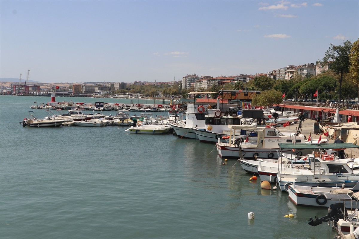 Tekirdağ'da balıkçılar, olumsuz hava ve deniz şartları nedeniyle palamut avına çıkamadı. Bu yıl...