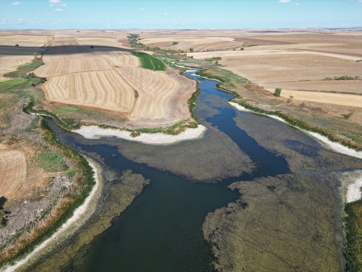 Tekirdağ'da bulunan Sarılar Göleti'nin su seviyesi, kuraklık ve aşırı sıcaklara bağlı yaşanan...