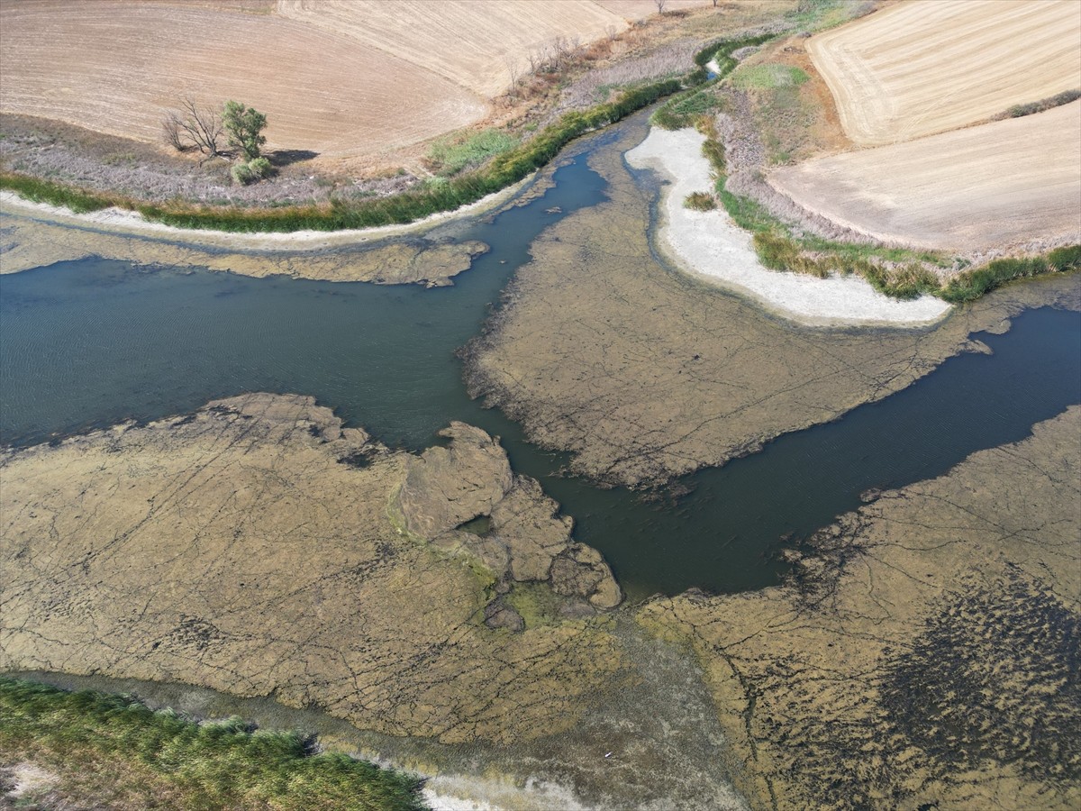 Tekirdağ'da bulunan Sarılar Göleti'nin su seviyesi, kuraklık ve aşırı sıcaklara bağlı yaşanan...