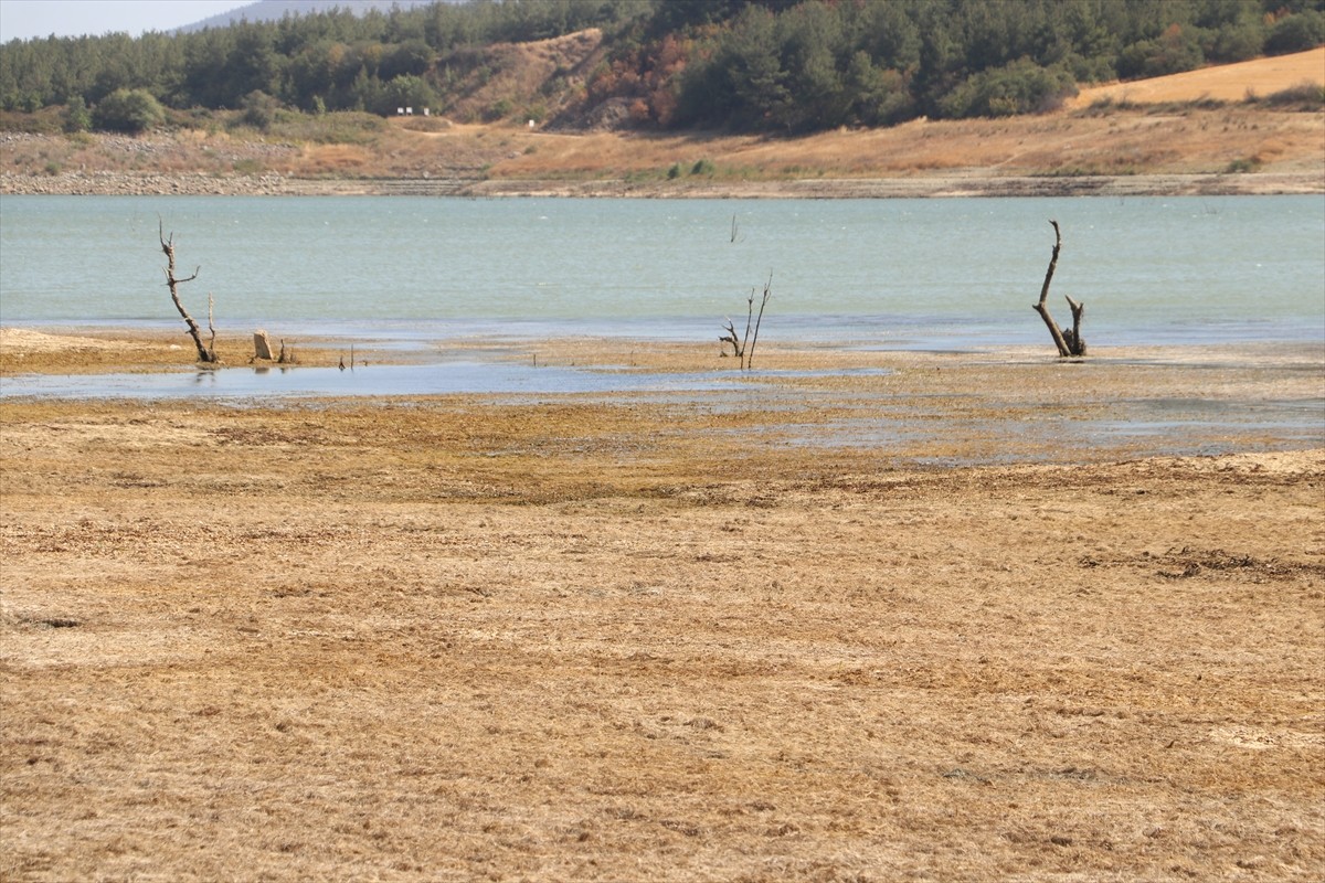 Tekirdağ'da Yazır Göleti'nde kuraklığın etkisiyle su çekilmesi sürüyor. Kentte yaşanan kuraklık ve...