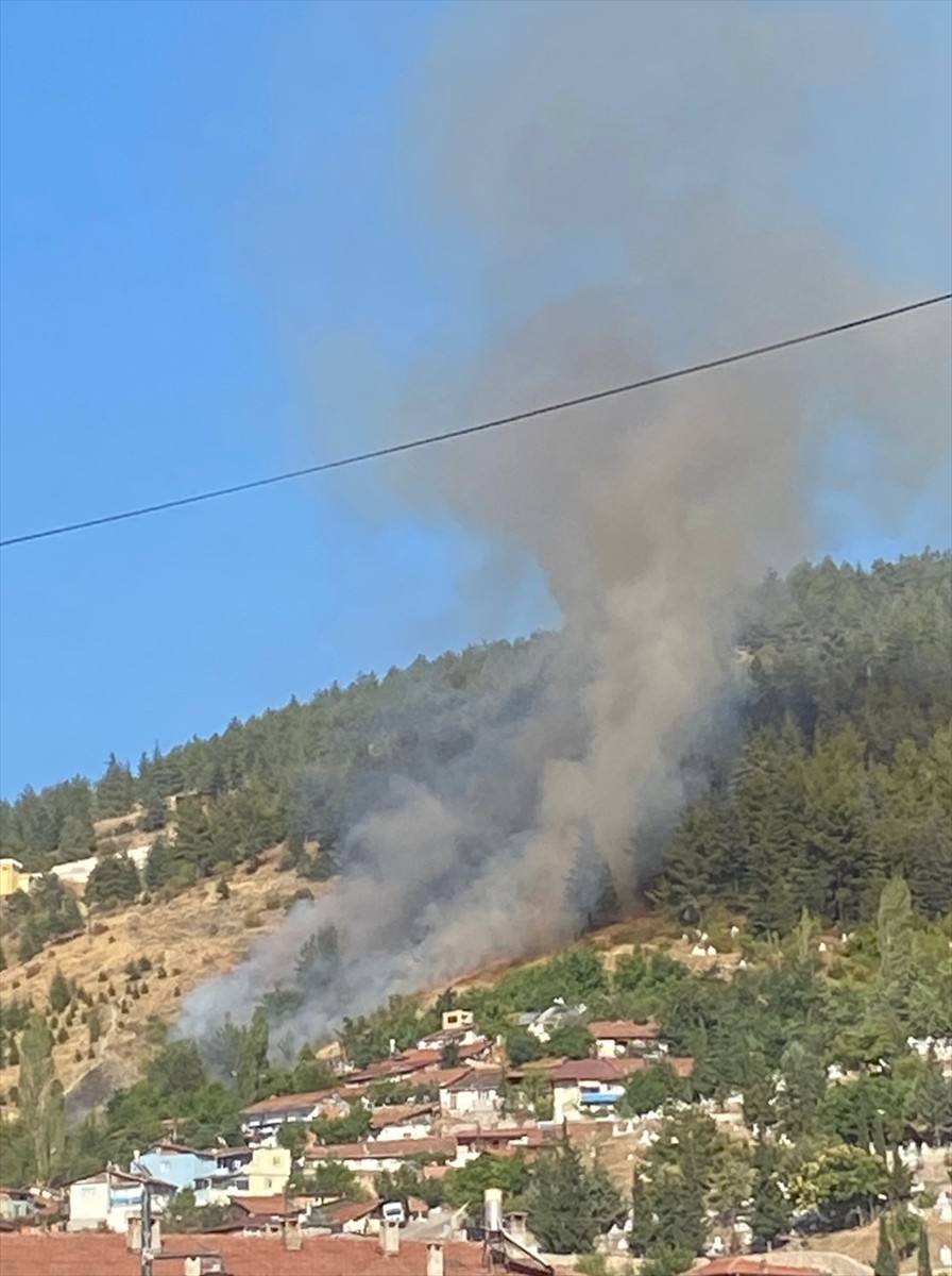 Tokat'ta çıkan orman yangınına ekipler karadan müdahale ediyor.
