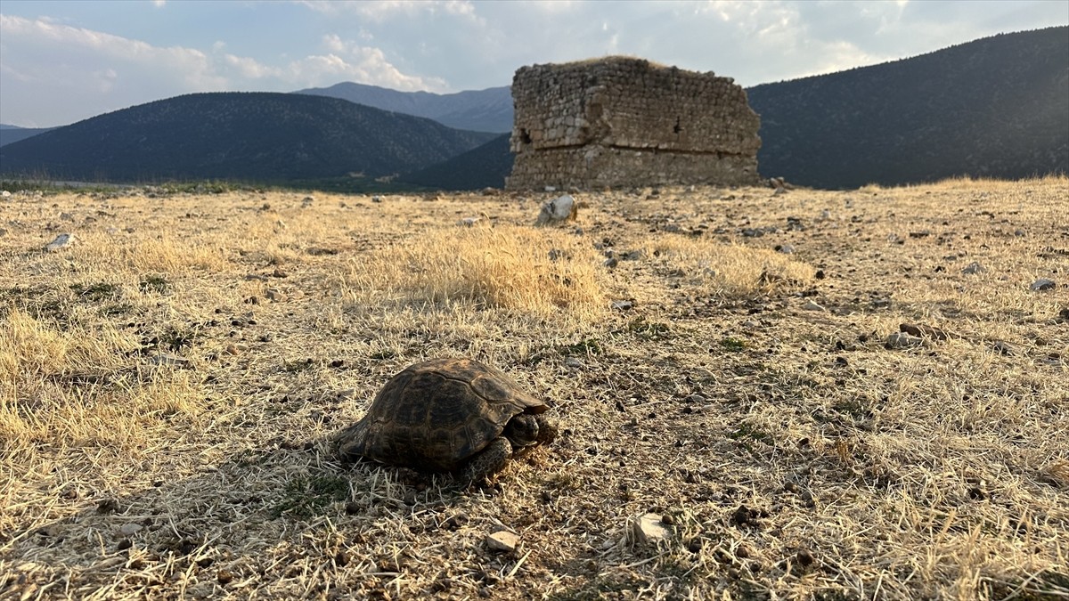 Türkiye'nin yerleşim yeri bulunan tek göl adası özelliğini taşıyan Isparta'nın Şarkikaraağaç...