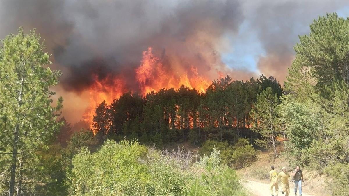Uşak’ın Banaz ilçesindeki Yenice ile Paşacık köyleri arasında çıkan orman yangınına havadan ve...