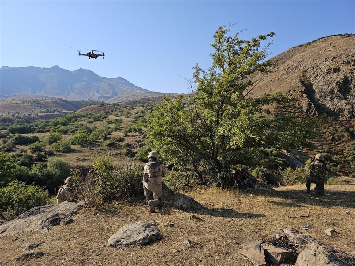 Van'ın Erciş ilçesinde kırsalda otlatılırken kaybolan koyunlar jandarma ekiplerinin dronla yaptığı...