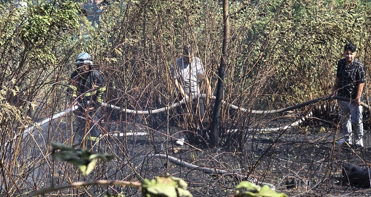Zonguldak'ta iki noktada çıkan orman yangınları söndürüldü.
