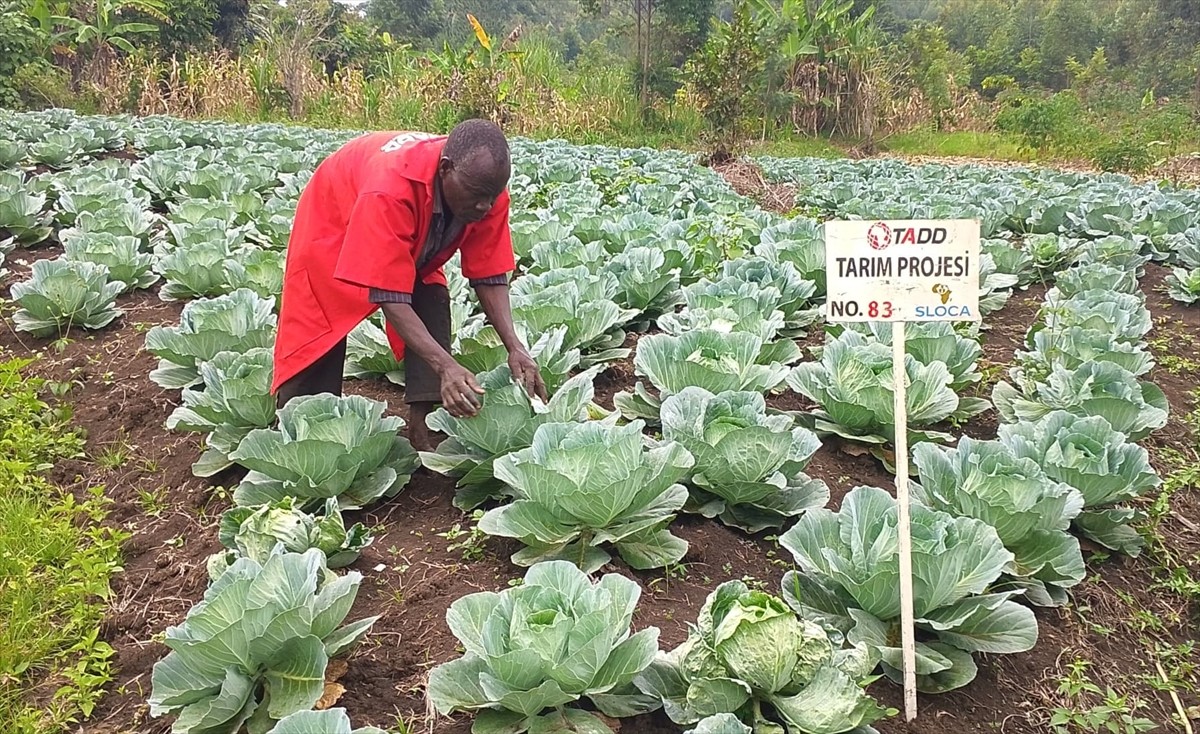 Afrika'da yardım faaliyetleri yürüten Tüm Afrika'nın Dostları Derneği (TADD), Mali'de...