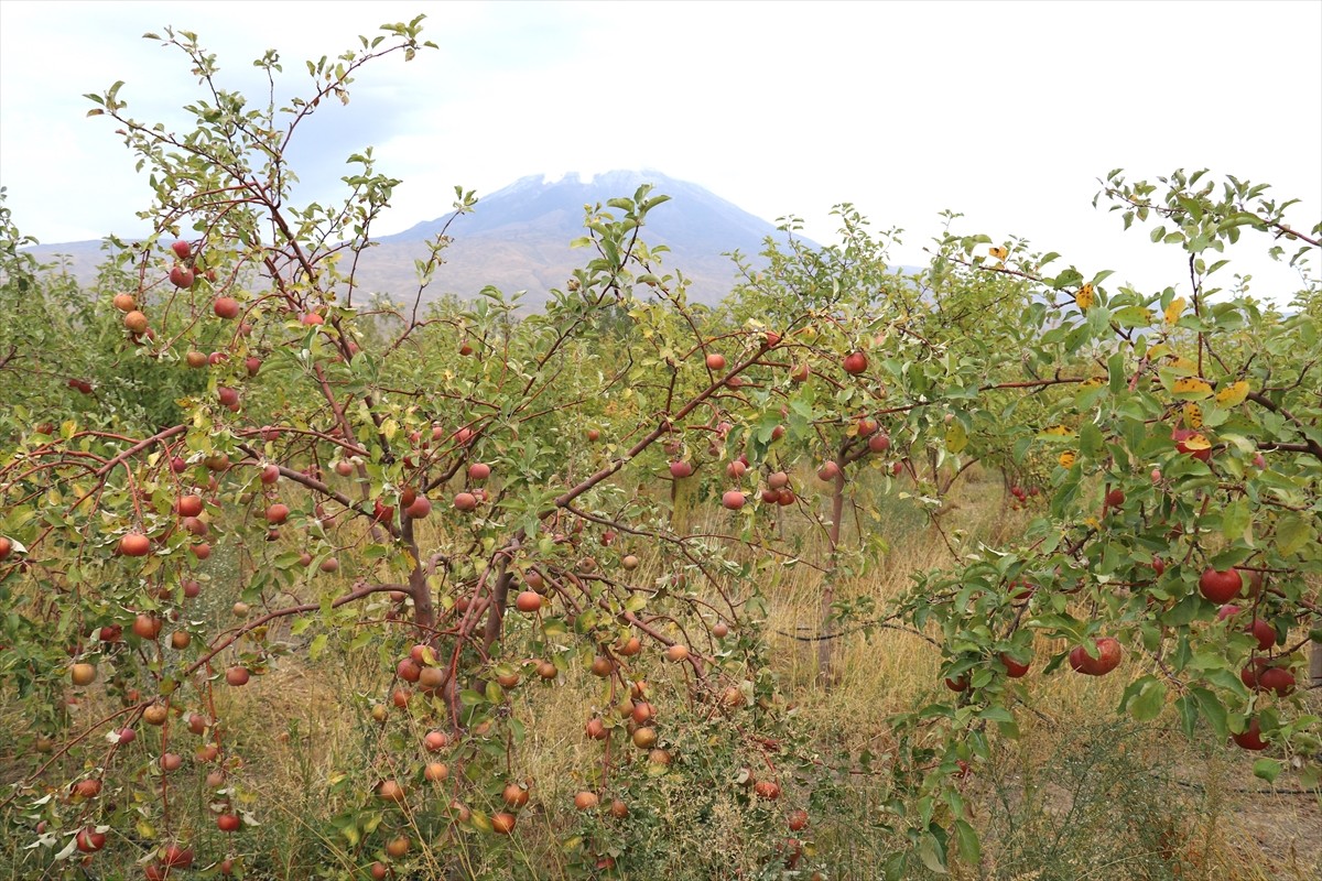 Ağrı'nın Doğubayazıt ilçesinde 5 bin 137 metrelik yüksekliğiyle yurdun en yüksek noktası olan Ağrı...