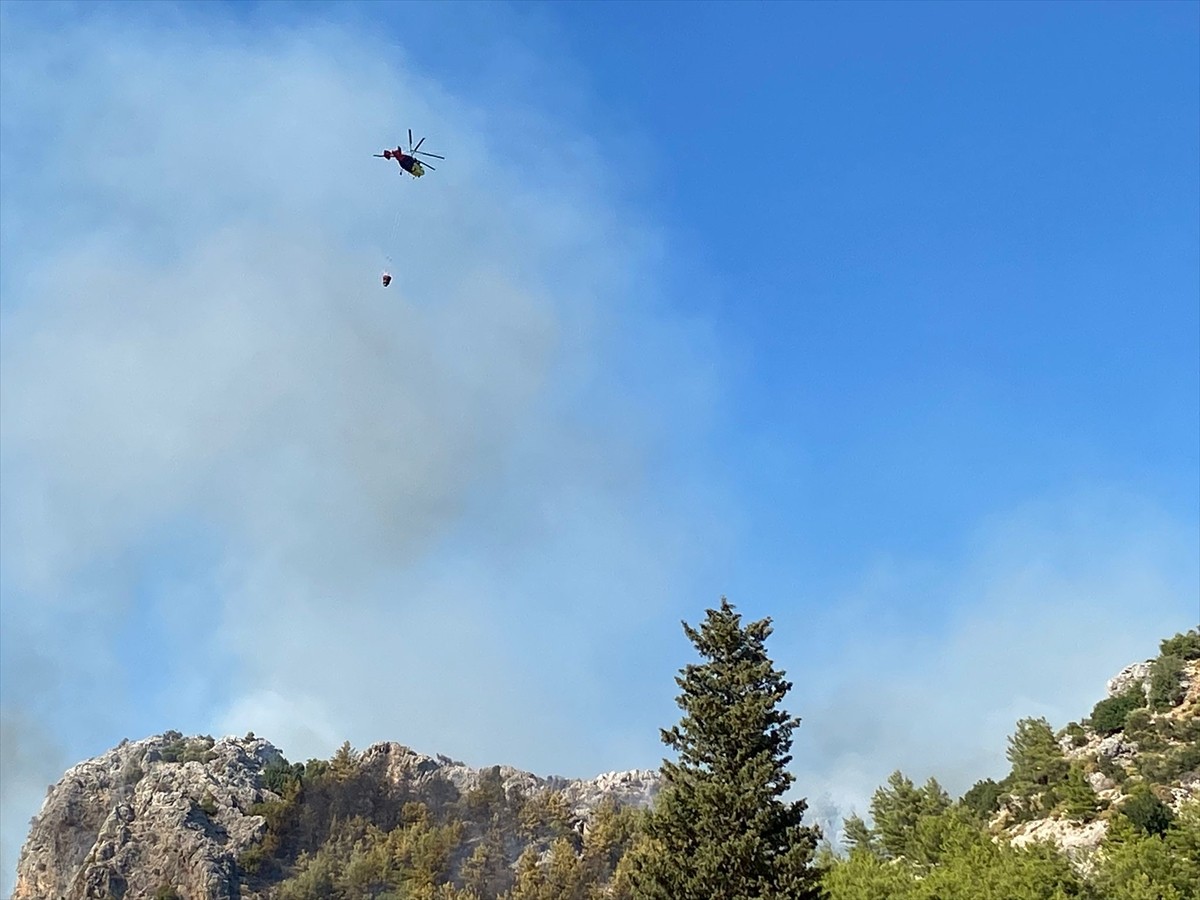 Antalya'nın Serik ilçesinde, ormanlık alanda çıkan yangına müdahale ediliyor.