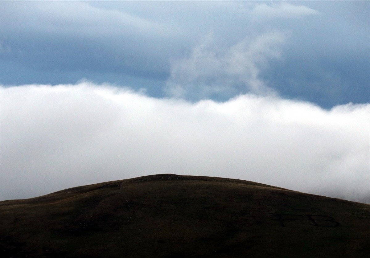 Ardahan'da sis ve sağanak etkili oldu. Sis özellikle Türkgözü Gümrük Kapısı'na geçiş sağlayan...